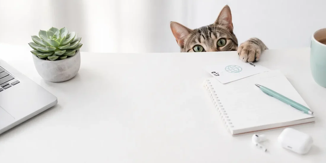 Online valodu nodarbības mini grupās