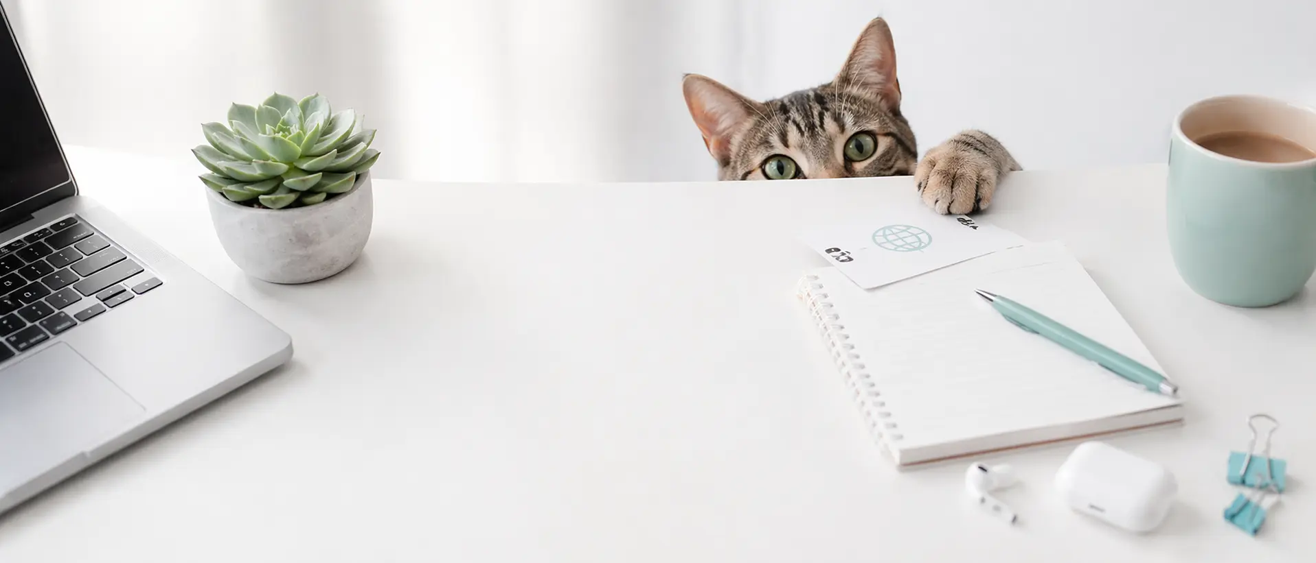 Online valodu nodarbības mini grupās